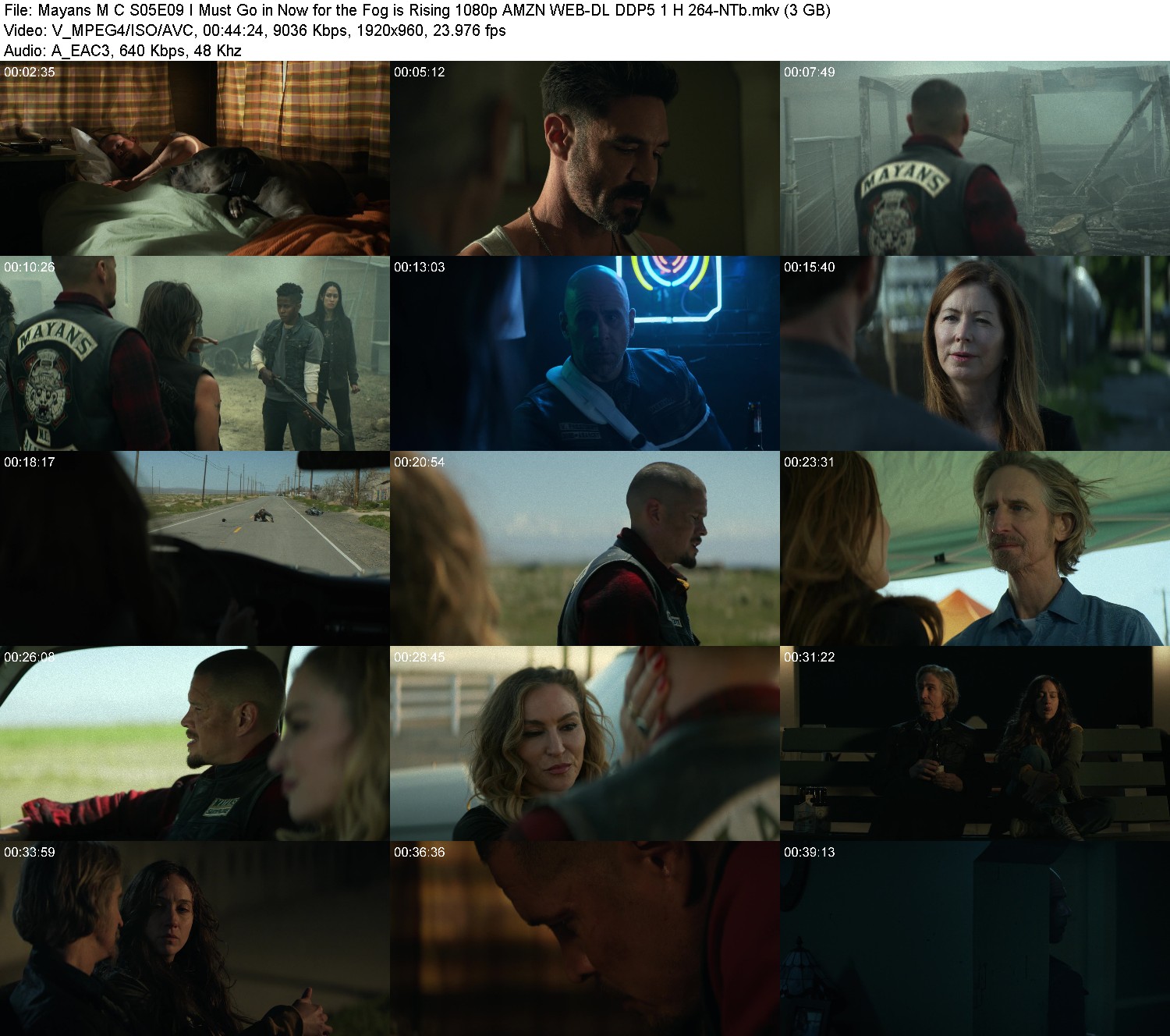 [Image: uyi1441xorex.jpg]