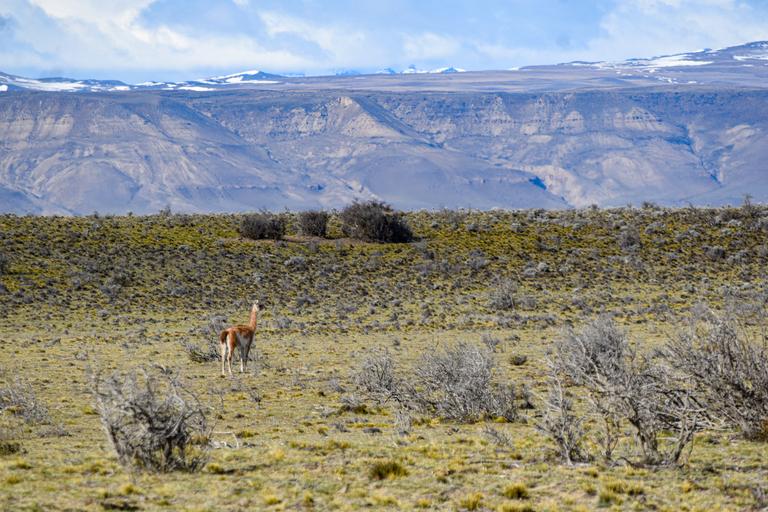 В джазе только девушки или аргентинско-бразильский калейдоскоп В джазе только девушки или аргентинско-бразильский калейдоскоп