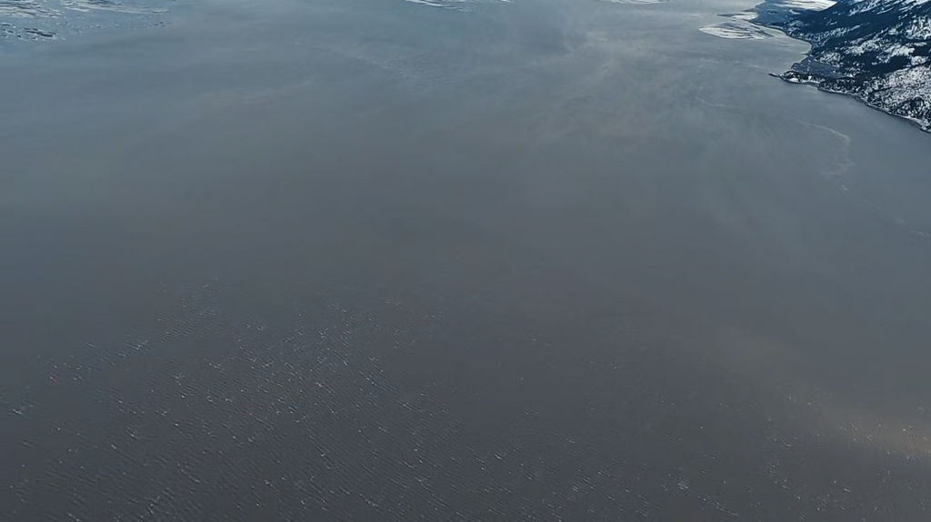 [Image: gw5z3hx55pmq.png]