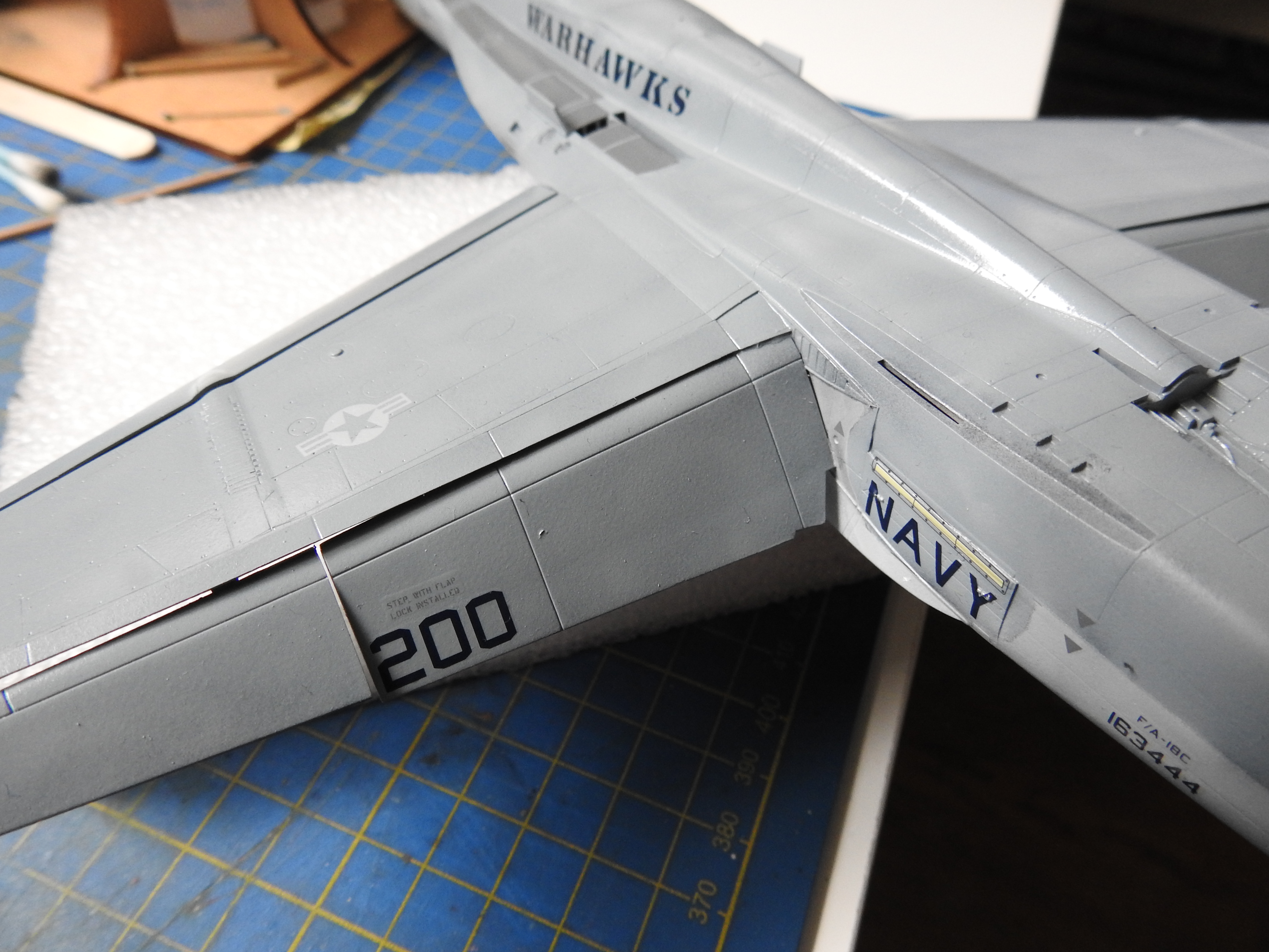 F/A-18C Hasegawa 1/48 - Sida 2 DSCN8825