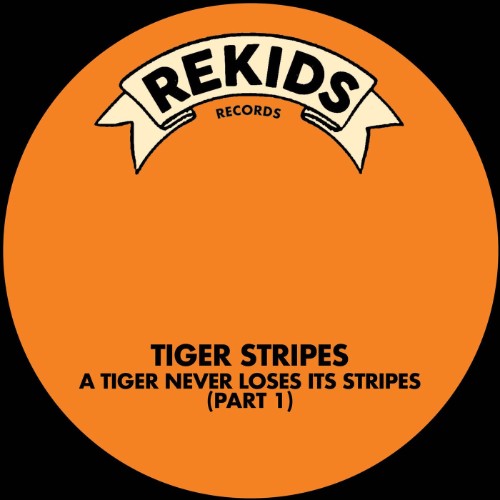 00-tiger-stripes-a-tiger-never-loses-its