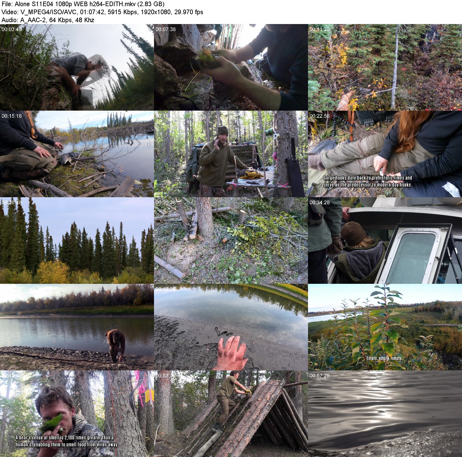 [Image: 1y1hnw3j4jfc.jpg]