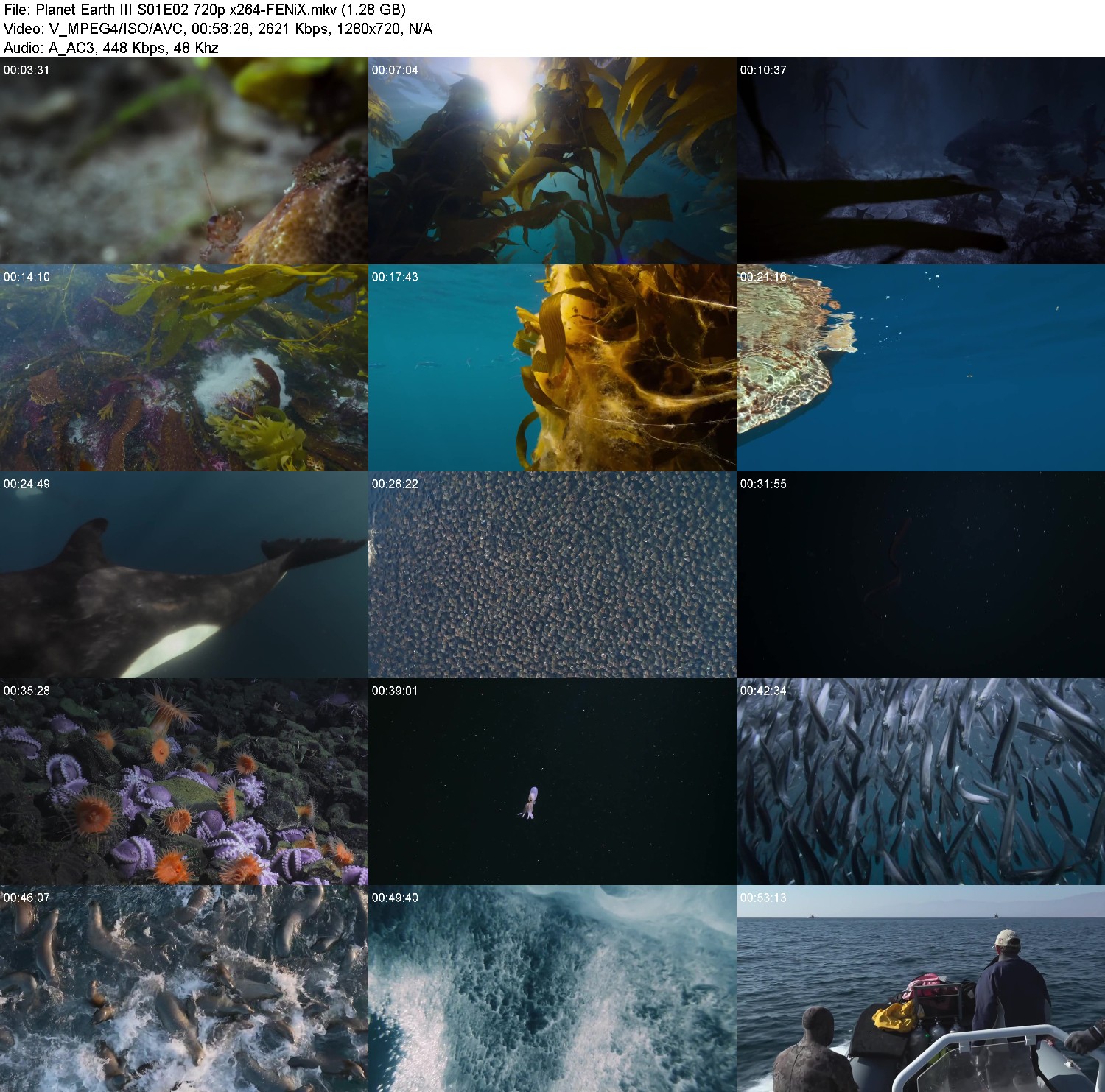 [Image: l7vxdk7cmf14.jpg]