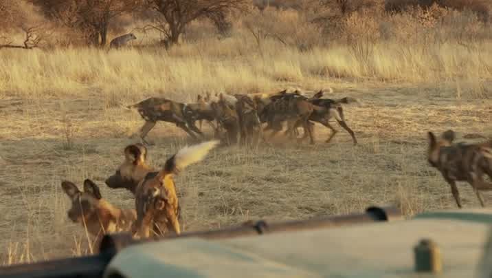 [Image: prjrk2u37r1a.jpg]