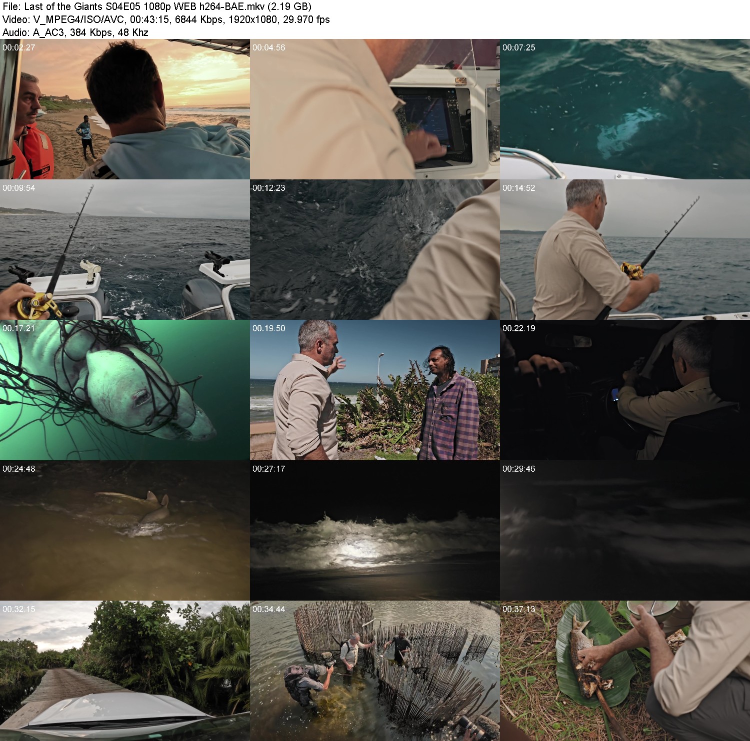 [Image: 9ngni6m6nsb2.jpg]