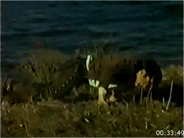 lrc997nsxf4u.png