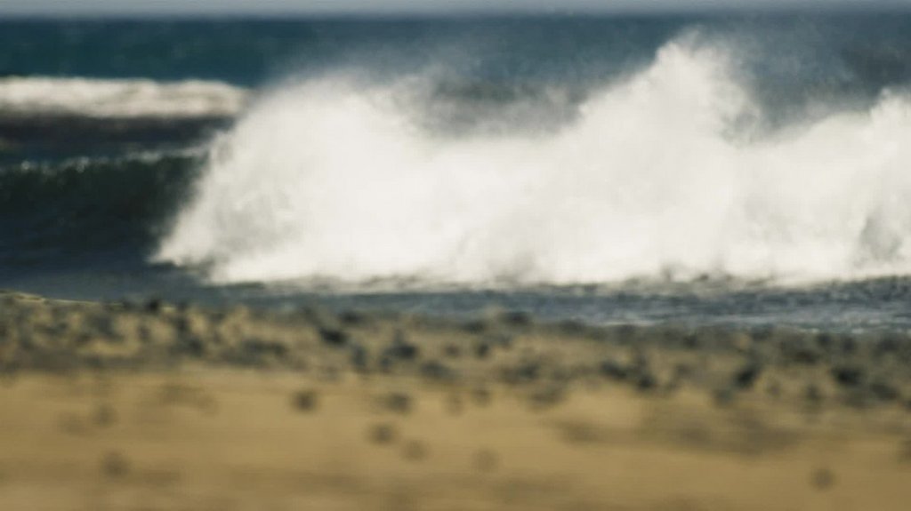 [Image: mz27n58asqek.jpg]