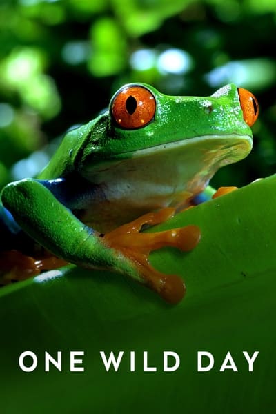 [Image: 3jv6t98ffufz.jpg]