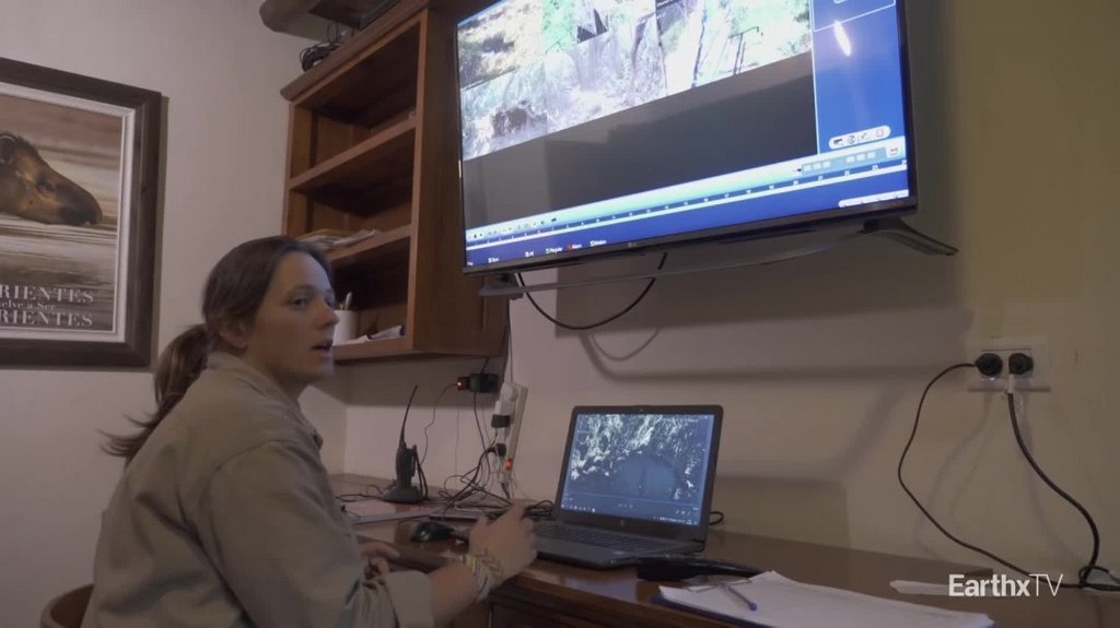 [Image: pusky8nr3q40.jpg]