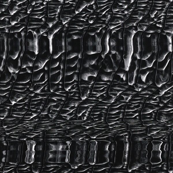 [Image: 7oh7q5aa2mep.jpg]