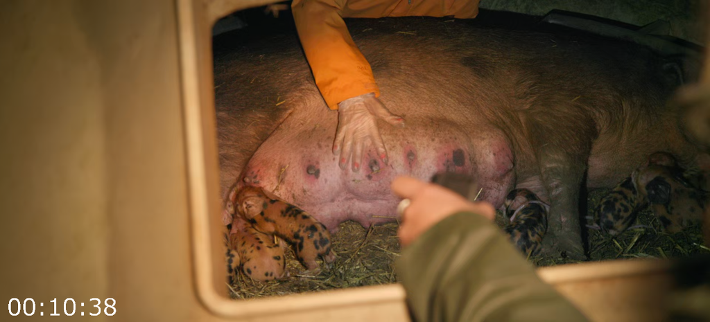 [Image: nyc2rf2v4u5y.png]