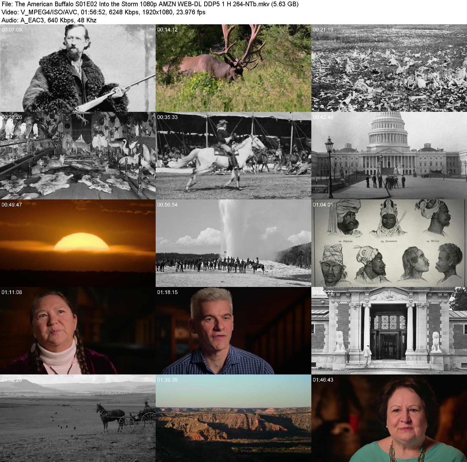 [Image: 05y8uzulen9h.jpg]