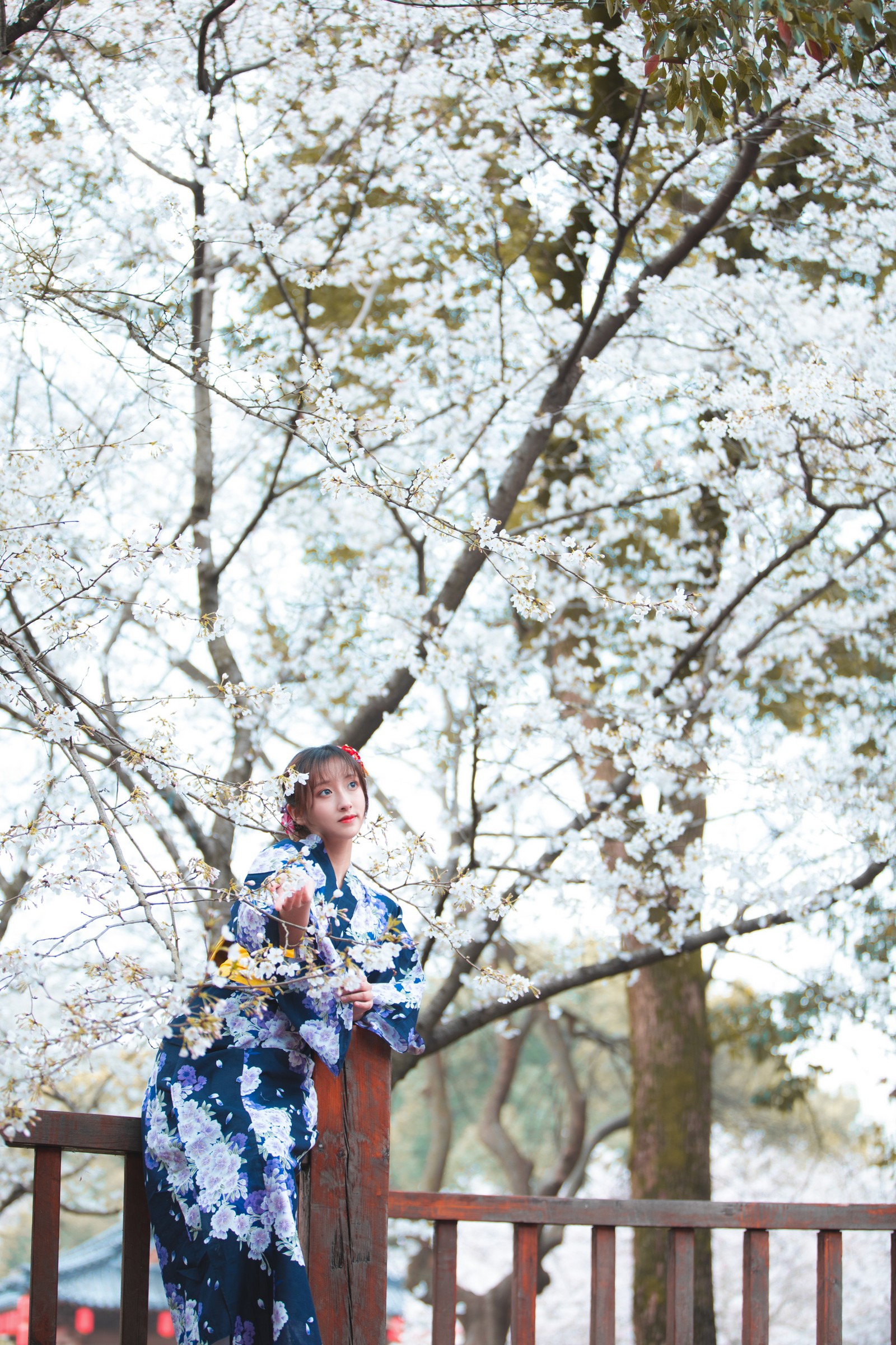 冬马路纱 樱园浴衣 写真合集｜日系和风 私房摄影（9P｜133MB）插图5