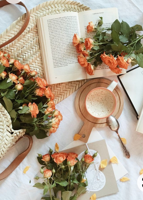 Screenshot_20221227_004720_Chrome