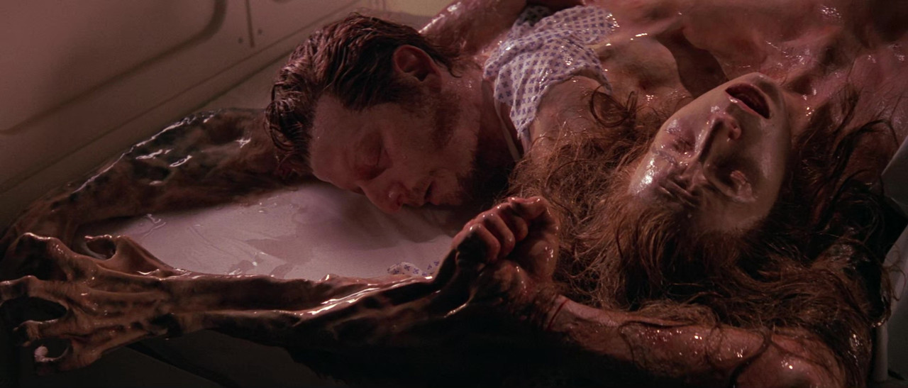 vlcsnap 2026 03 01 11h04m52s070