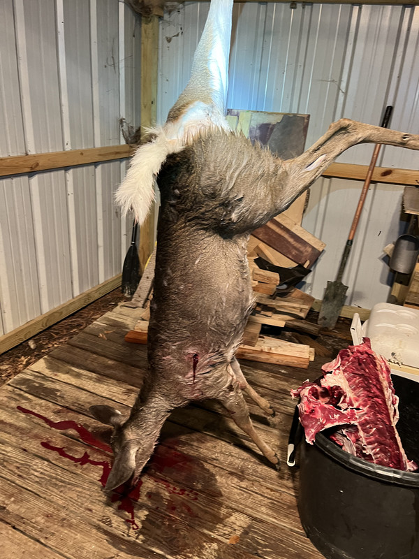 4932FA71-0BCB-409E-8F29-8DF2098CA01E