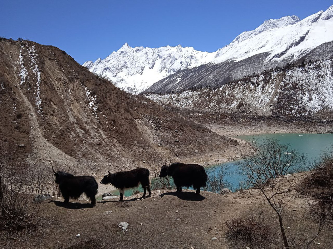 IMG_20230517_230616_060