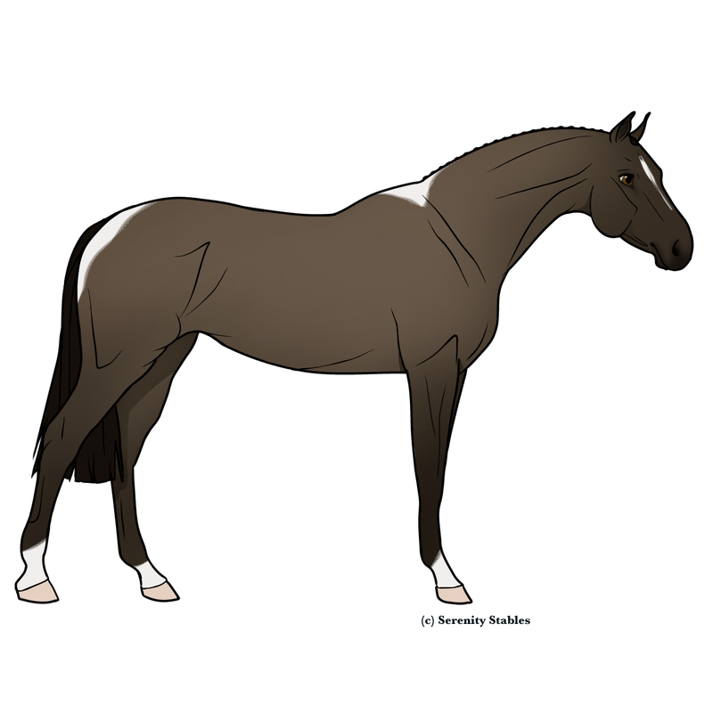Untitled478-20240507105755.png