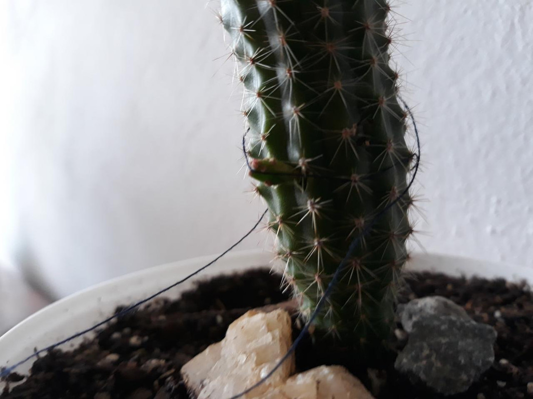 20190729_163235