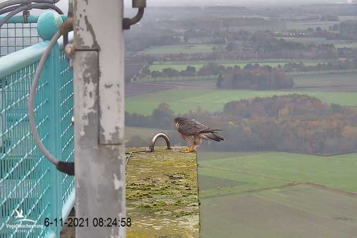 campics vanaf 1 juli © VWGGemert en bonusjes van ter plekke V8