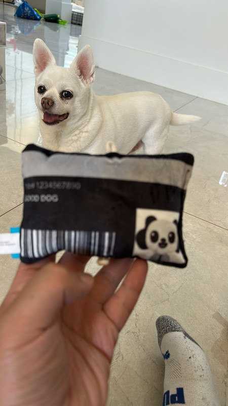 5374A987-236B-473B-AA07-9E54597D01F7