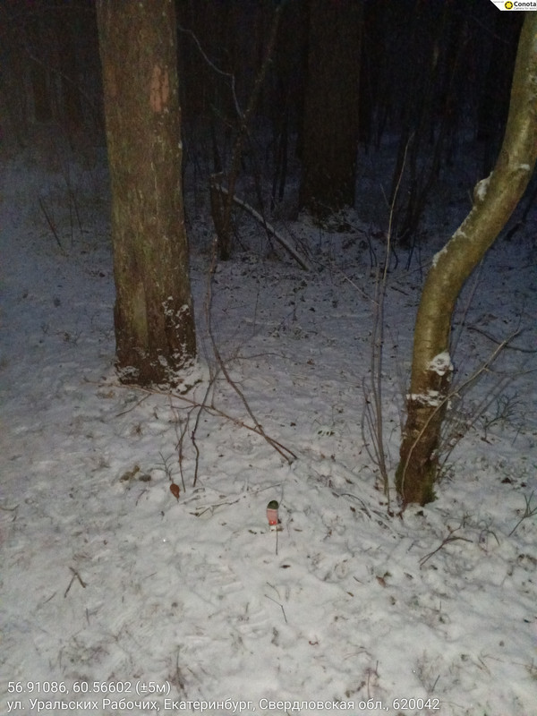 56 91086 60 56602 5м 10112025 172913