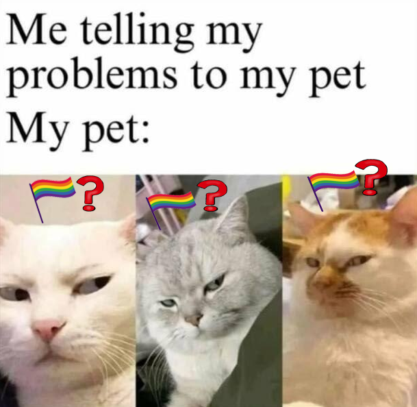 Telling-my-problemas-to-my-cat.png