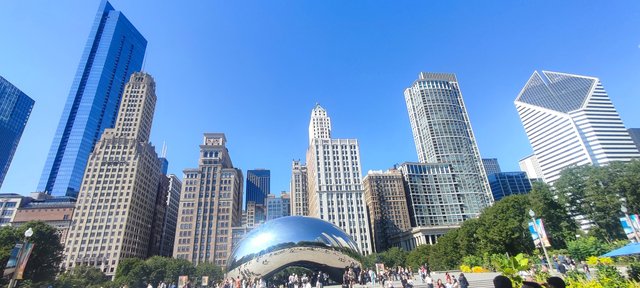 Caminando por Chicago: Esculturas, the Bean, lugares de películas y Torre Willis - Boston y Chicago (34)
