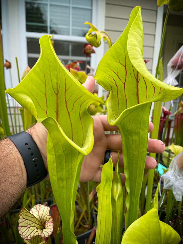 B18C538E-549A-4FC4-8460-98203771CB6E