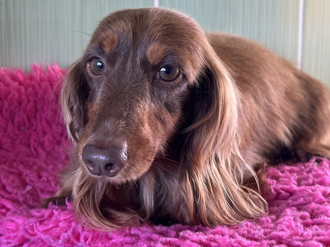 [Image: photo-4.jpg]