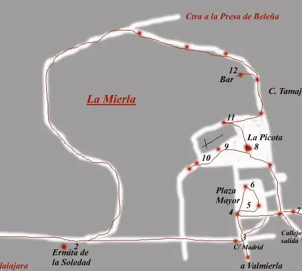 La Mierla-14-2-2015 - Guadalajara y sus pueblos-2010/2023 (1)
