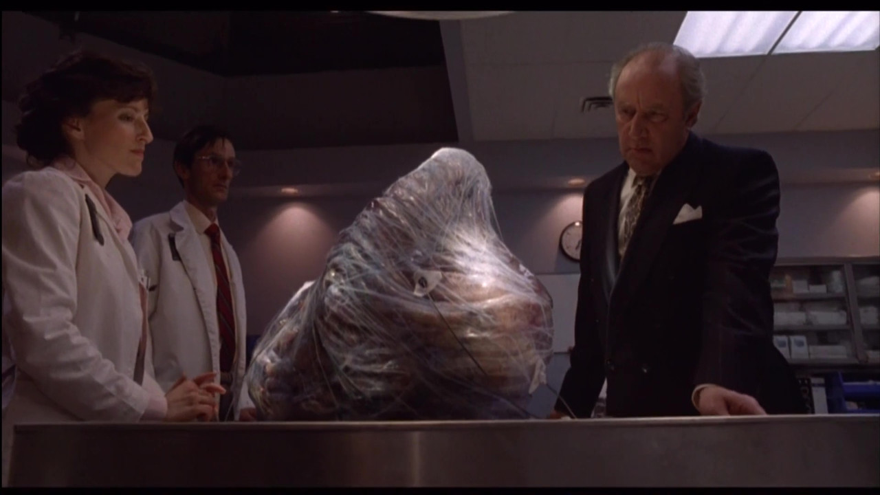 vlcsnap 2026 03 19 12h32m30s014