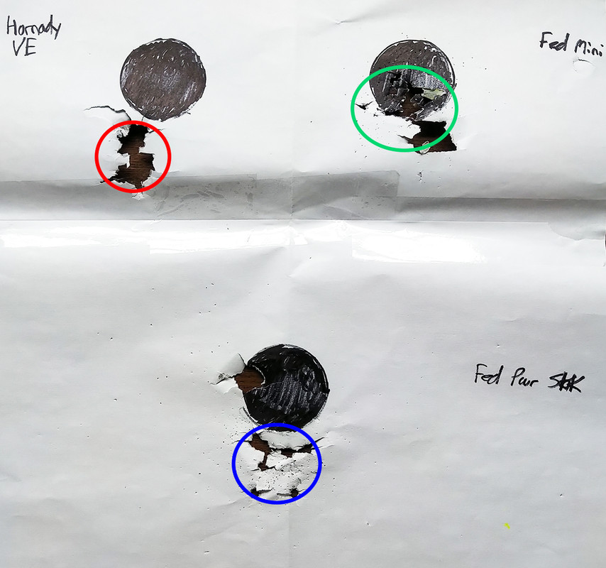 5 meters buck colours