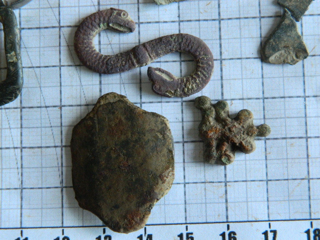 tippakultasormus 021
