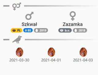 WŁOCŁAWEK MPEC - Pagina 2 Przechwytywanie-w-trybie-pe-noekranowym-06-05-2021-084717