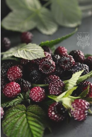 Ягодный тариф «Я справлюсь - я молодец!» (Эльвина Брестель)