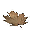 graphics-autumn-436677