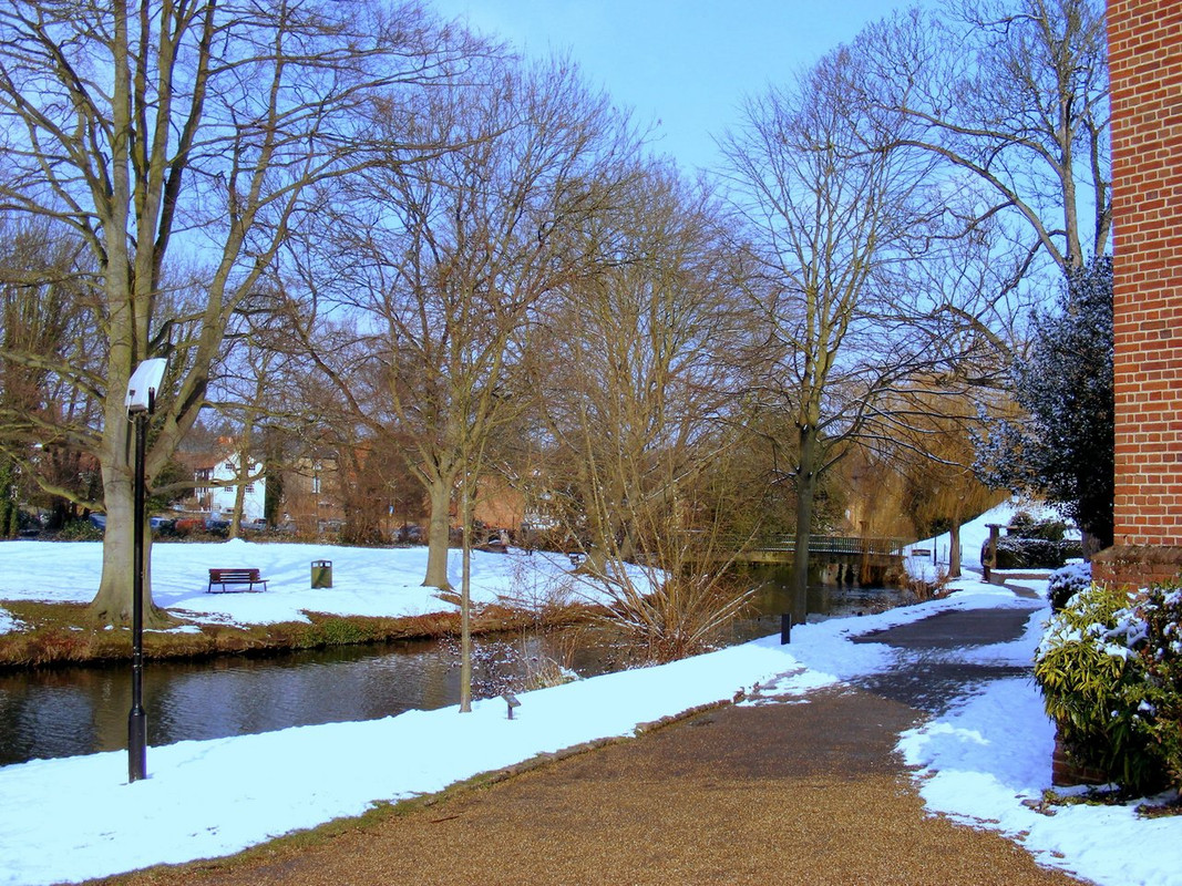 DSCF6781.jpg