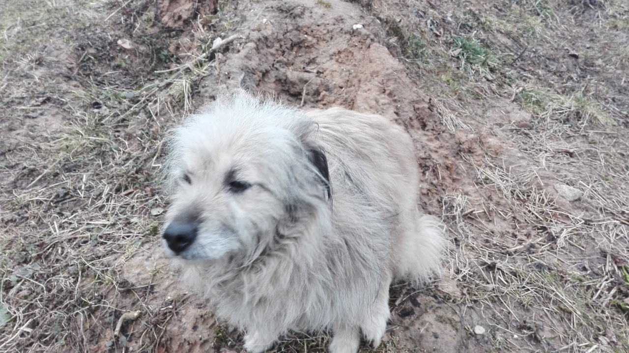 5FF62A78-DA78-491A-9E5A-F79F1F6B08E2