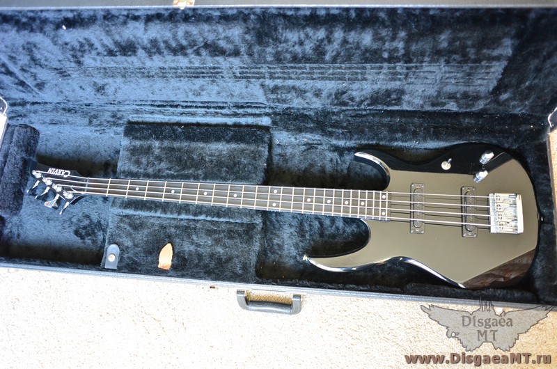 Carvin_LB20_bght_003