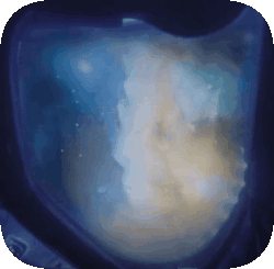 back to /STARSET