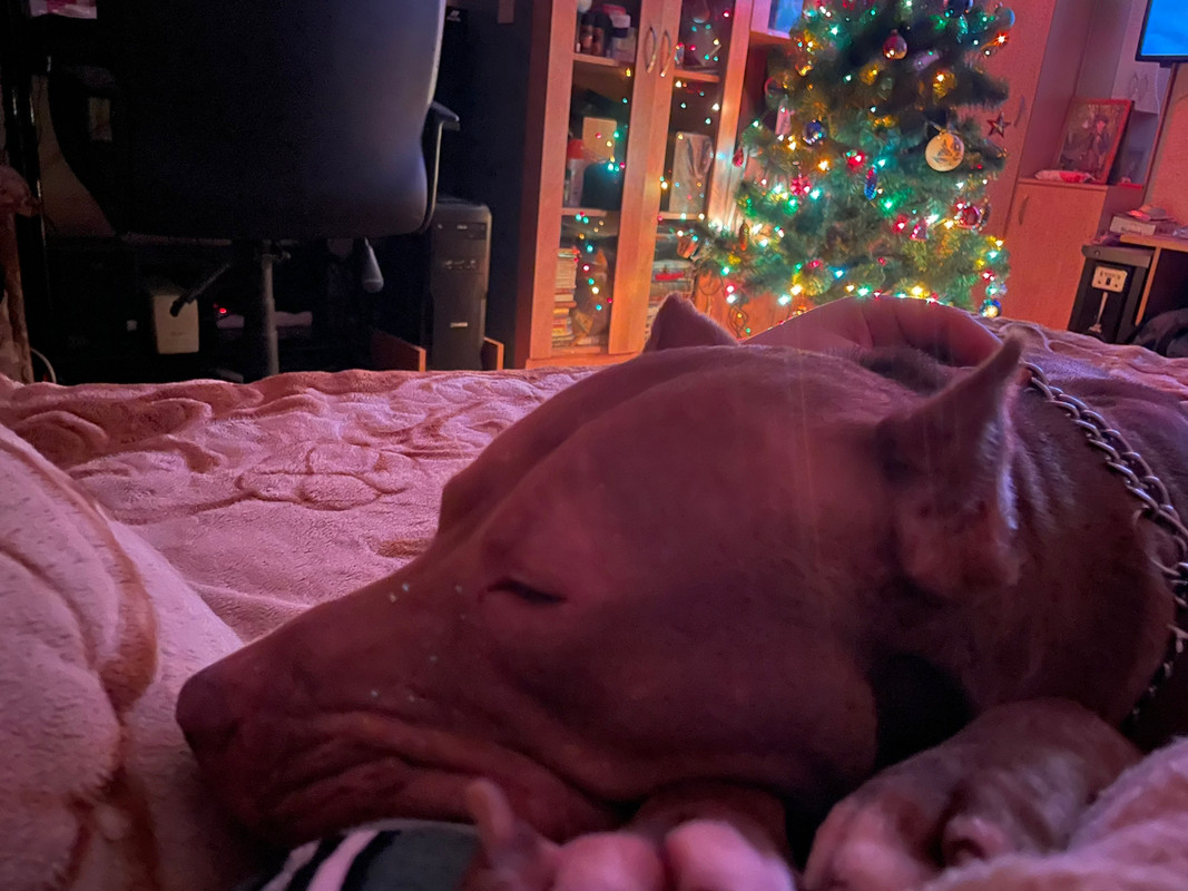 5B744215-5E1B-42B9-8DAD-247291720B64