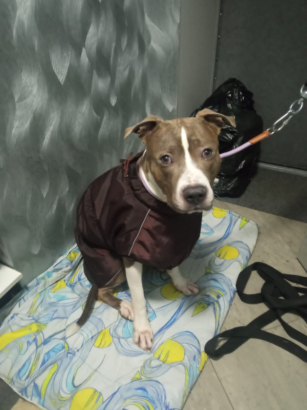 467B034D-21E5-44E5-8FA3-6498B04A08B0