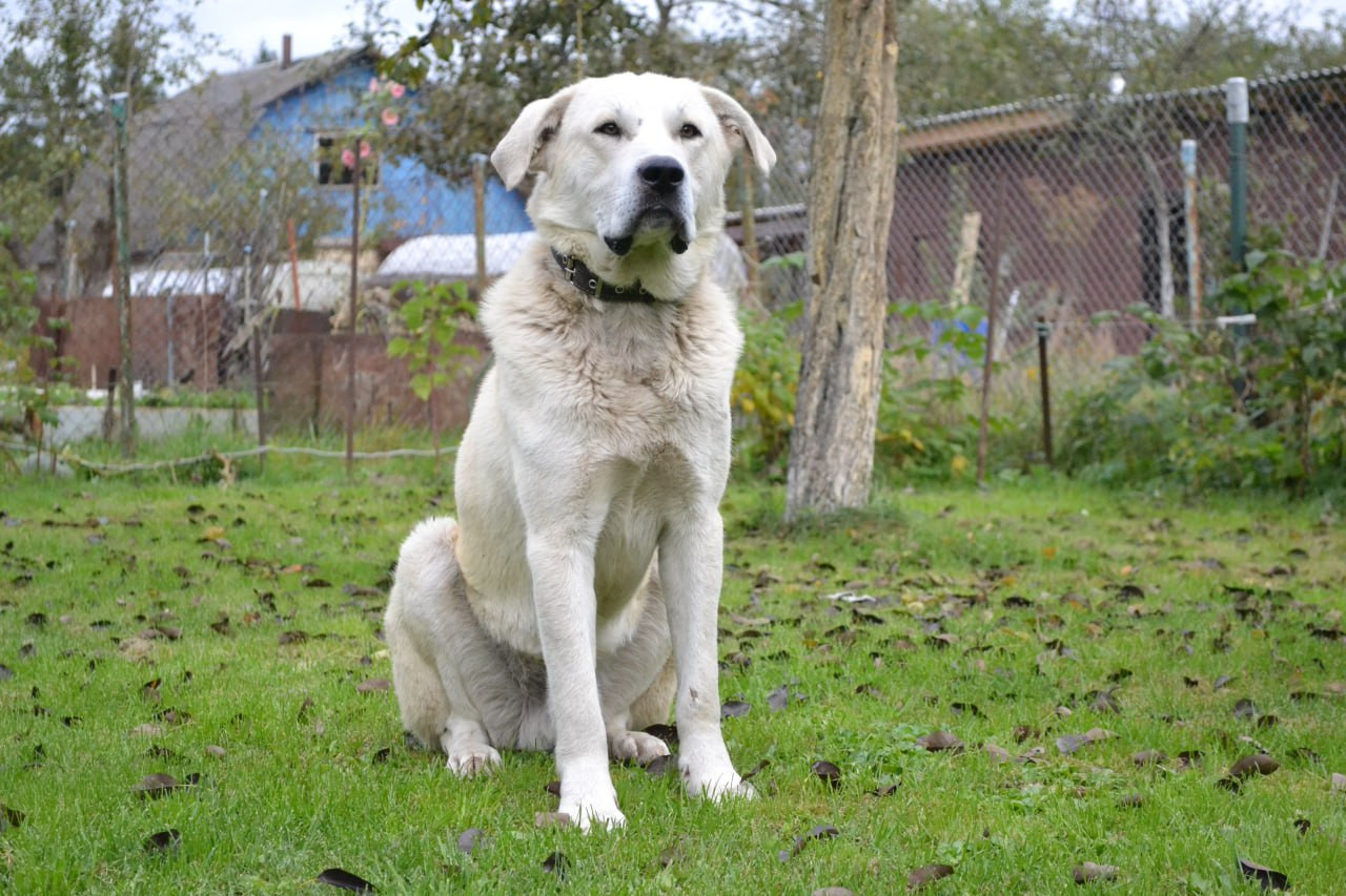 photo 2026 01 07 15 58 06