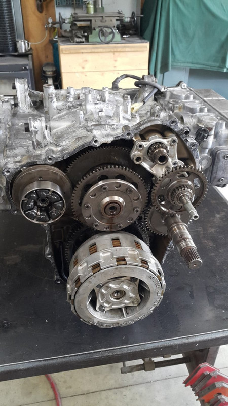 20200329_150226 (Medium)