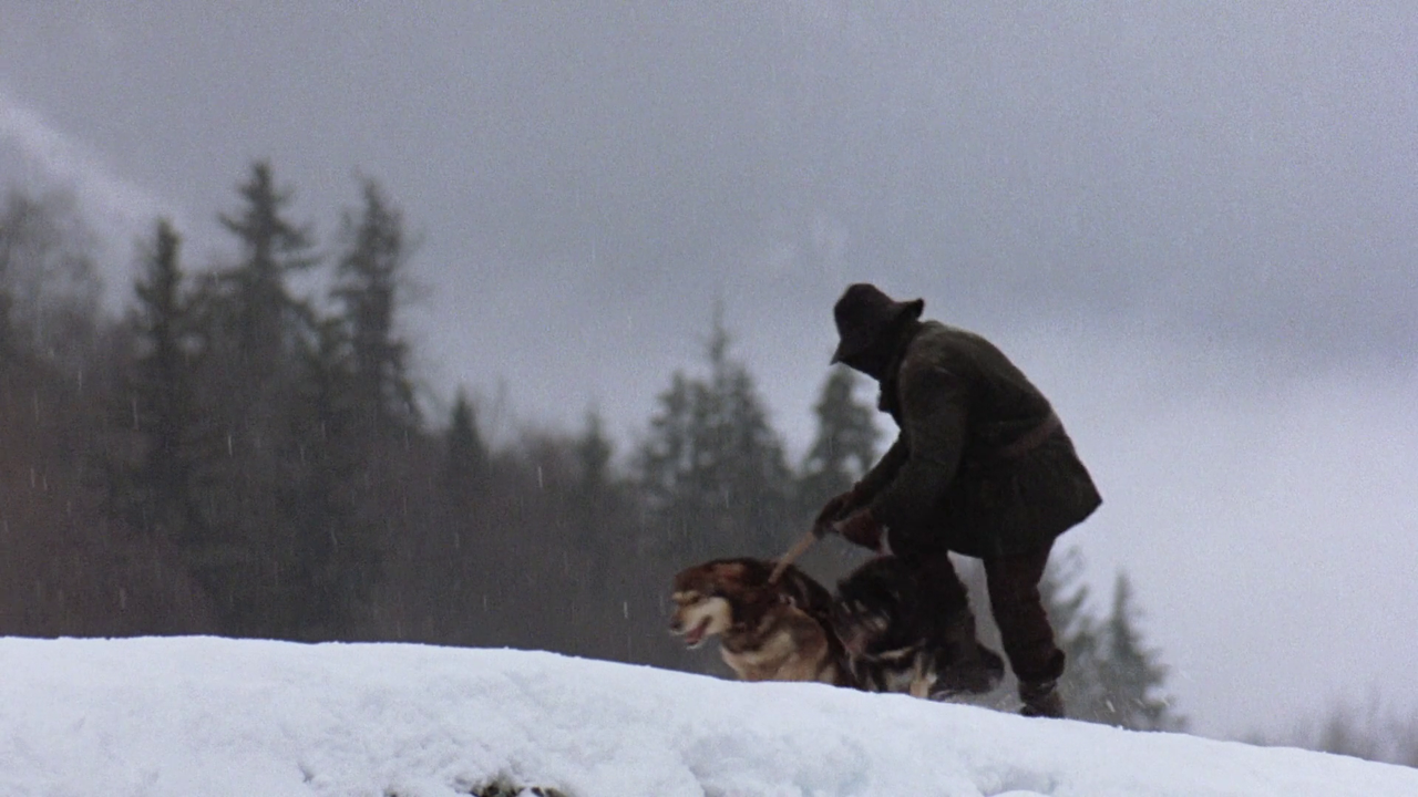 vlcsnap-2024-06-05-09h47m40s601