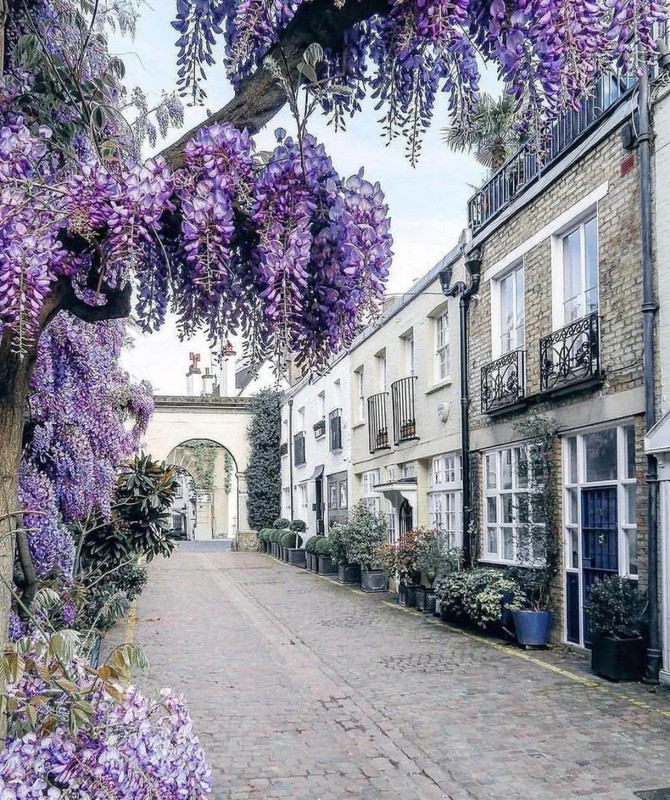 Screenshot_20240501_151728_Threads