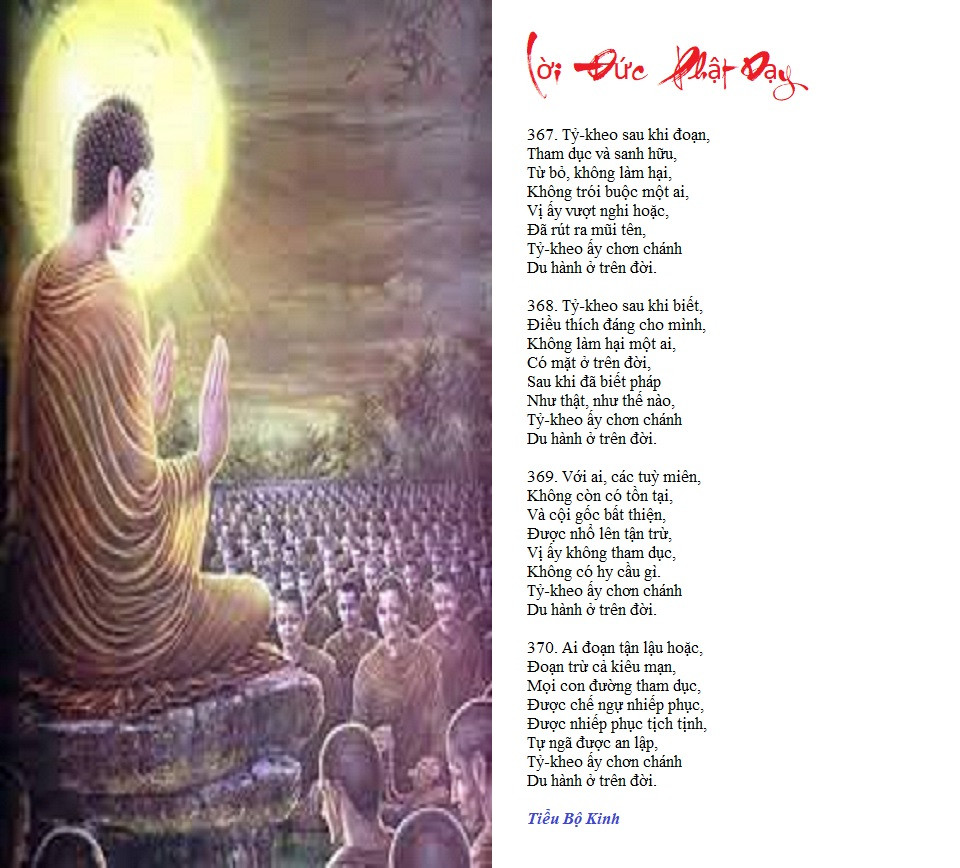 [Image: 11-13s-2025.jpg]