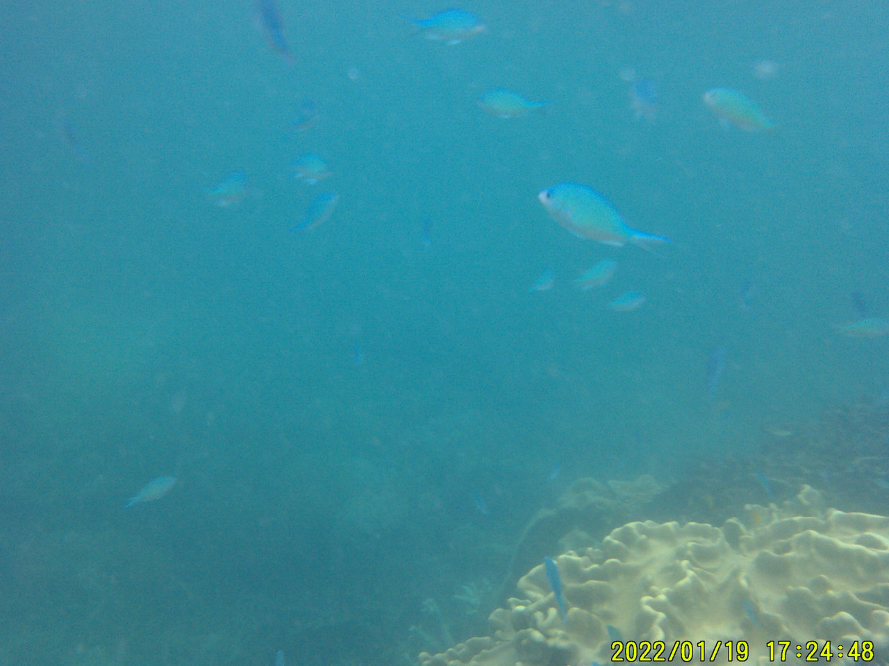 DSCF0050
