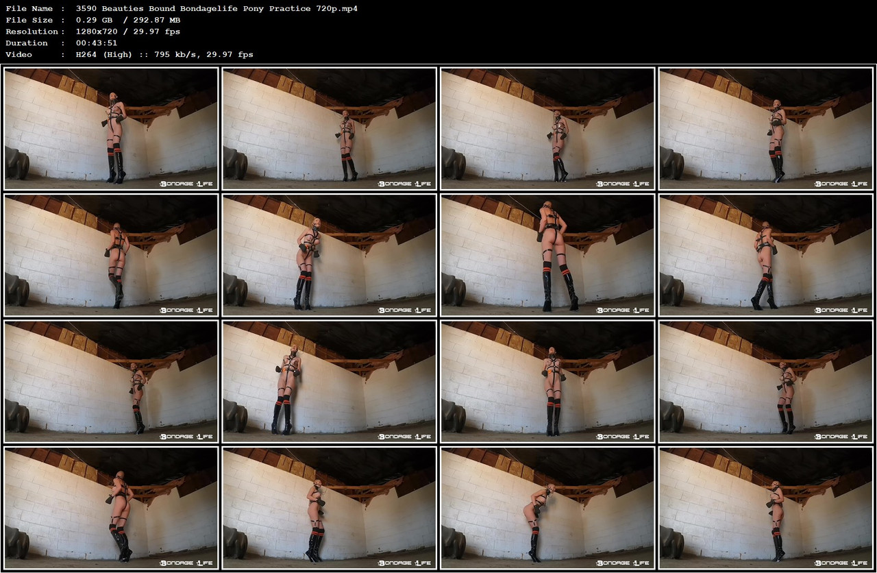 3590 Beauties Bound Bondagelife Pony Practice 720p mp4